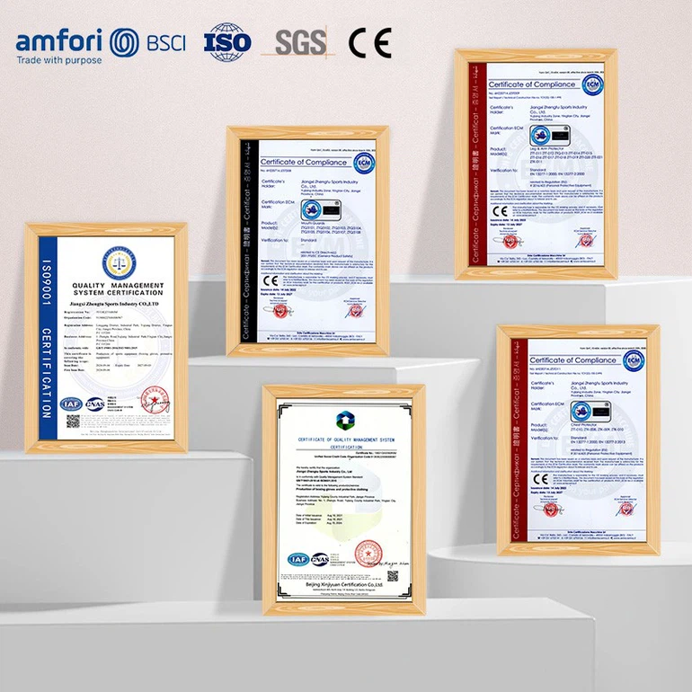 certificate certificate